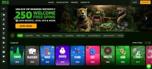 Biblioteka gier Wild Casino z widocznymi kategoriami